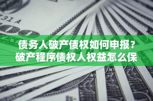 北京债务人破产债权如何申报？破产程序债权人权益怎么保障？