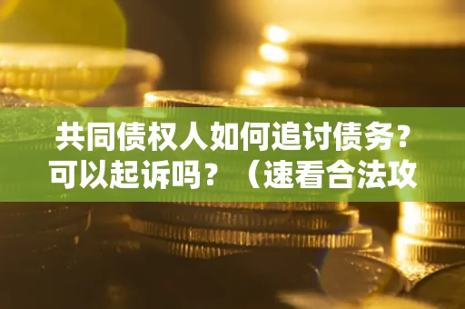 北京共同债权人如何追讨债务？可以起诉吗？（速看合法攻略）